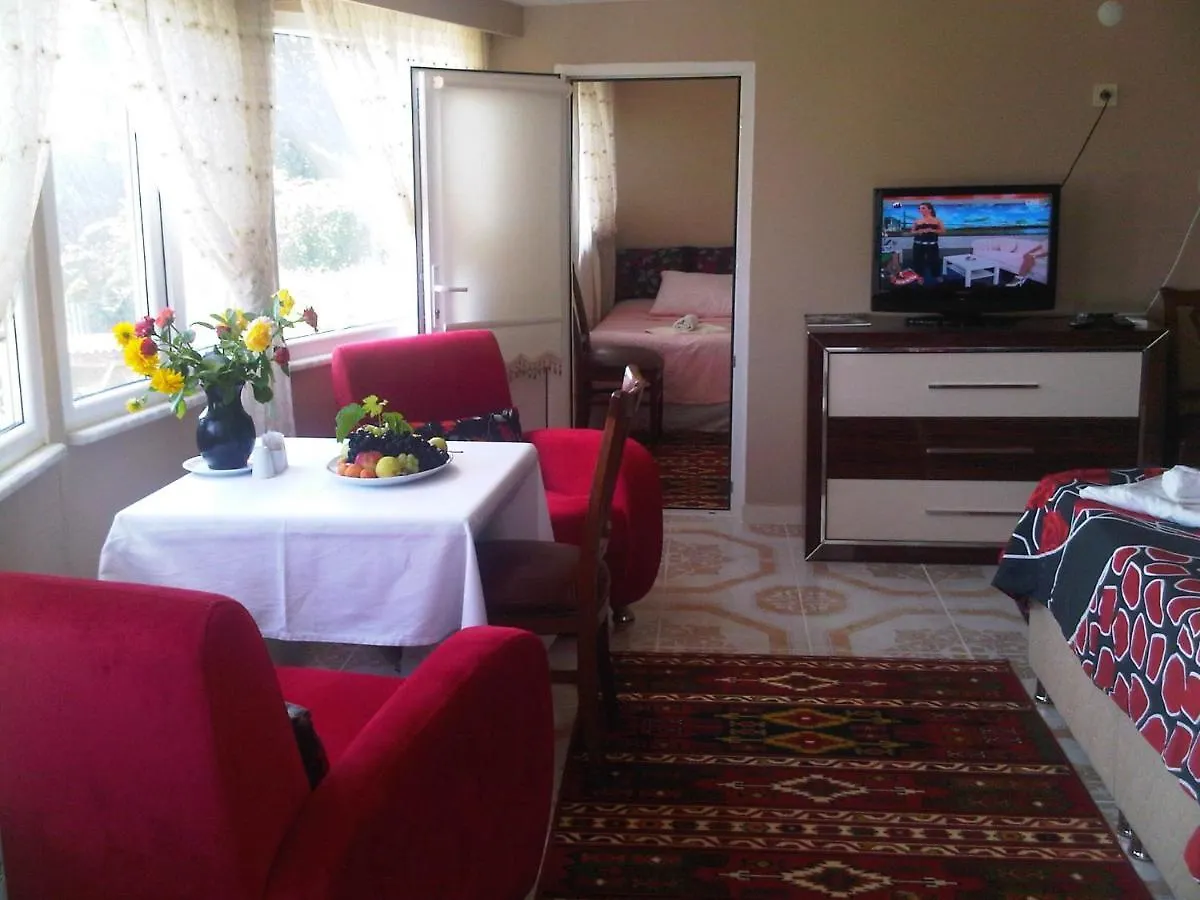 호텔 Gizli Bahce Butik Otel 이스탄불